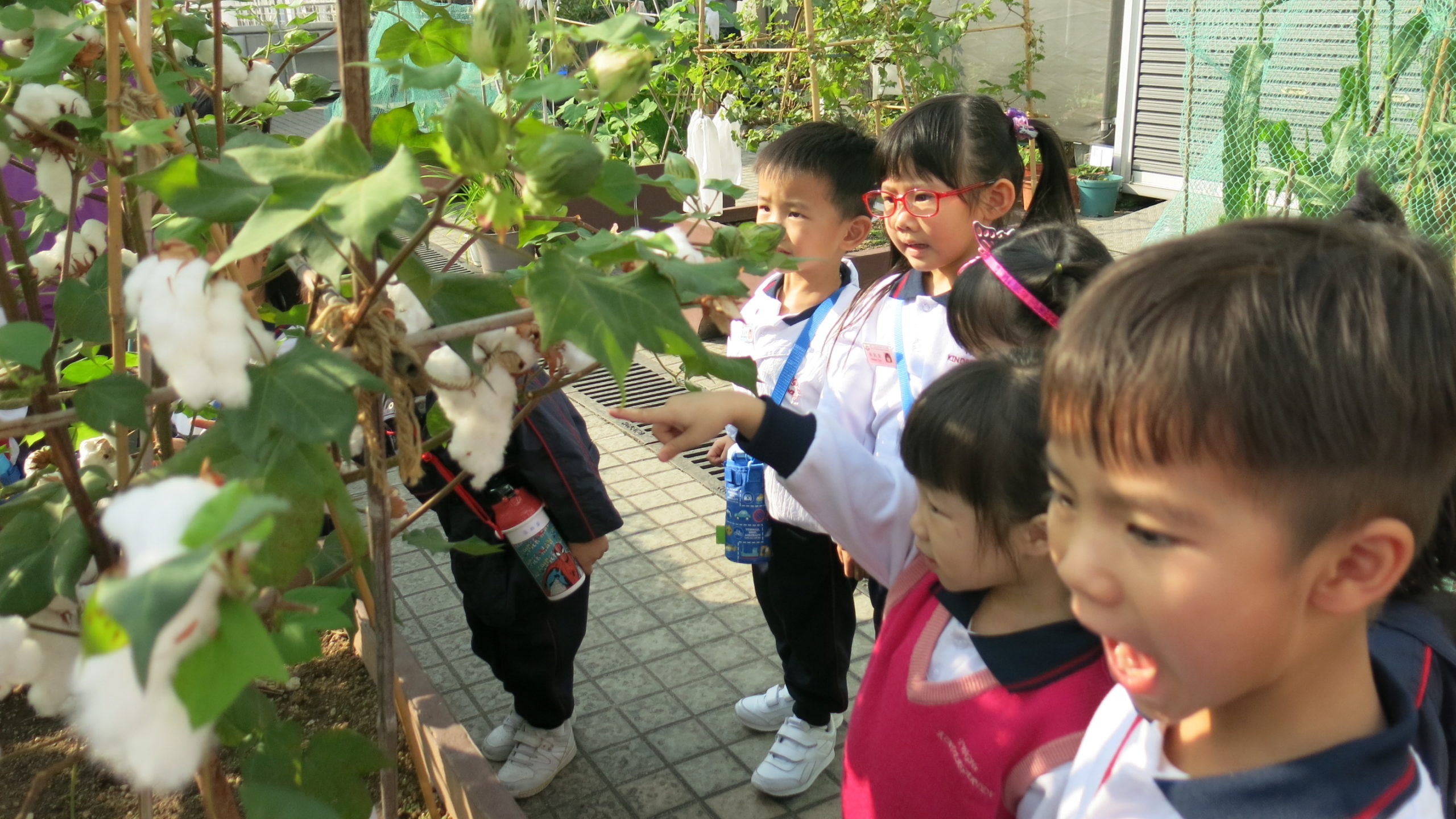 K2戶外學習活動~參觀「綠化教育資源中心」
